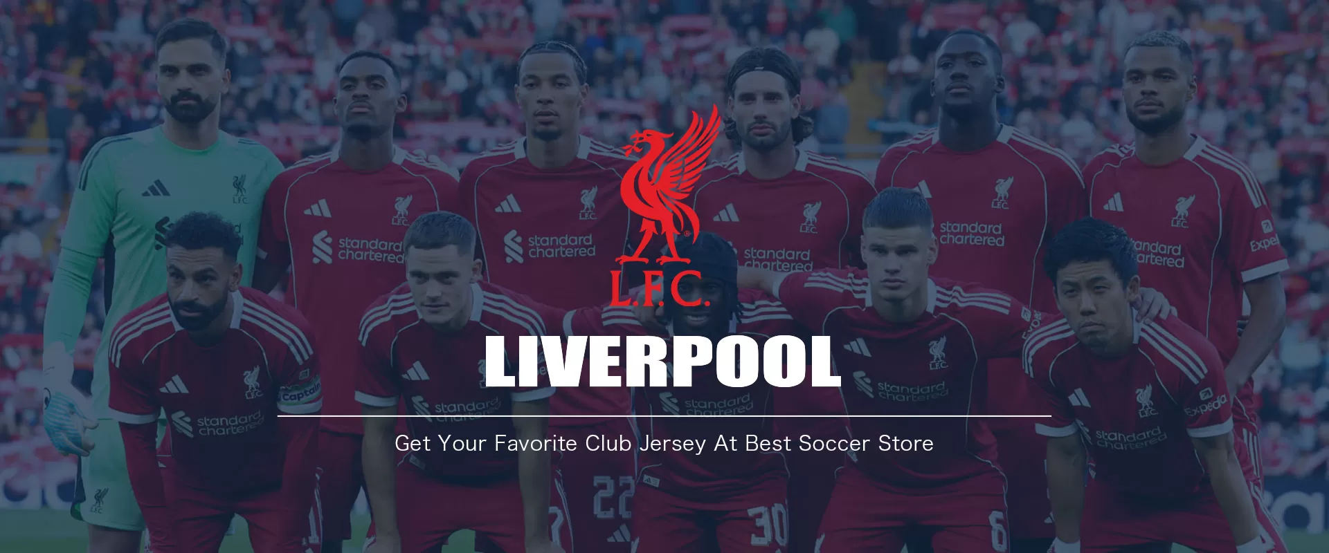 collection-banner-image